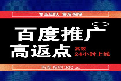 揭秘百度竞价广告：实战案例分析及优化策略